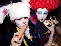 ALICE IN WONDERLAND THEMED ENTERTAINMENT -WHERES ALICE?